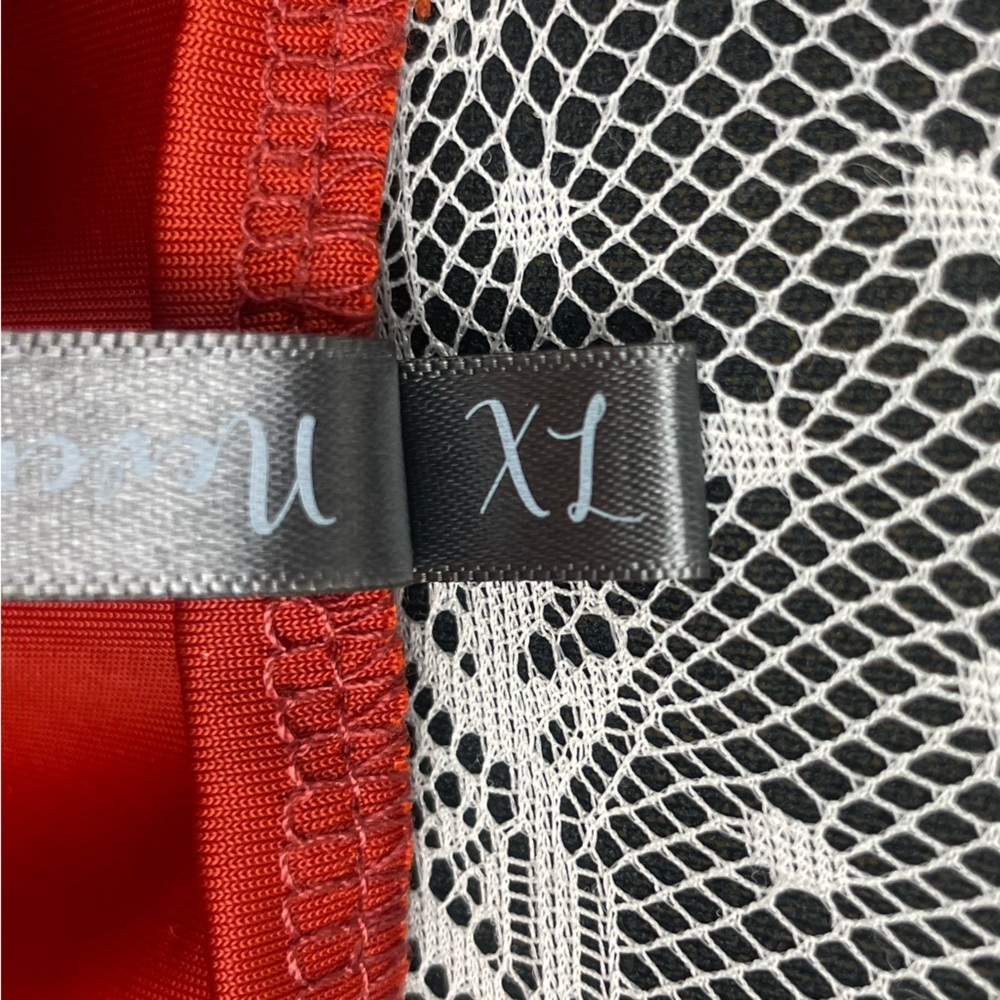 Nevena Rae Rust Red Plunge Rouched Hip Corset Style Bodice Dress - Picture 7 of 7